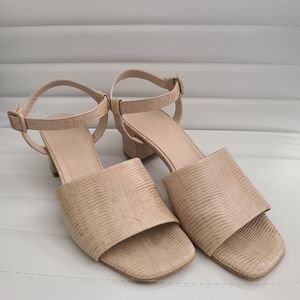 Everlane Block Heel Sandal